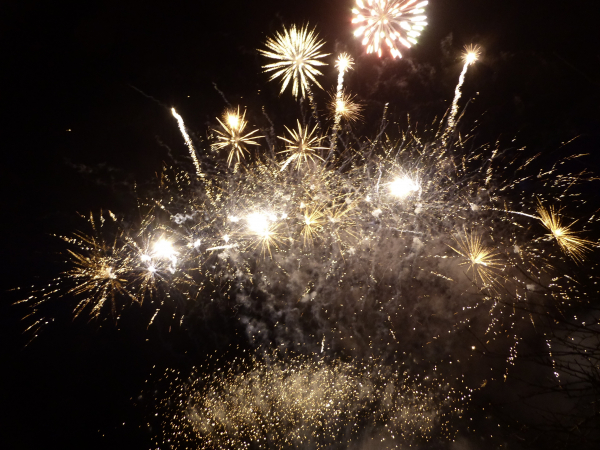 'Wedding Celebrations' by Chris Parnell, Bracknell Forest u3a